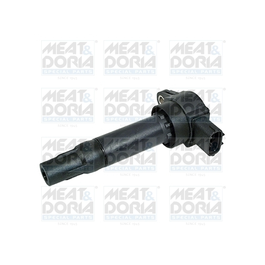 10663 - Ignition coil 