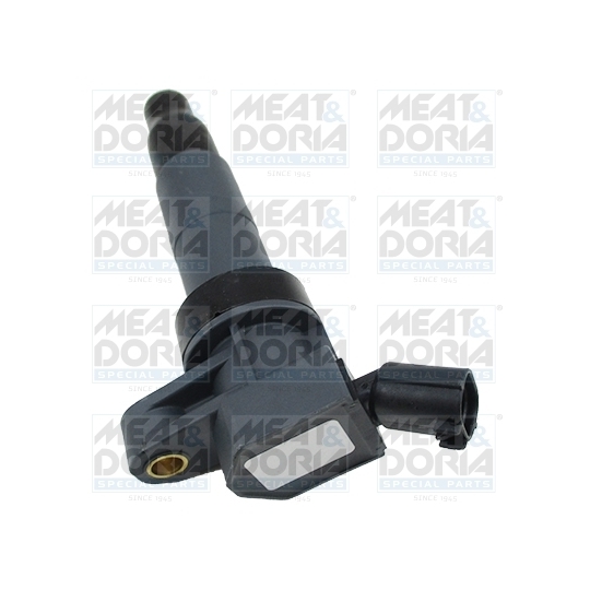 10829 - Ignition coil 