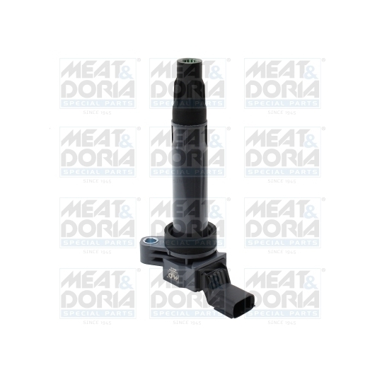 10841 - Ignition coil 