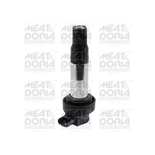 10842 - Ignition coil 