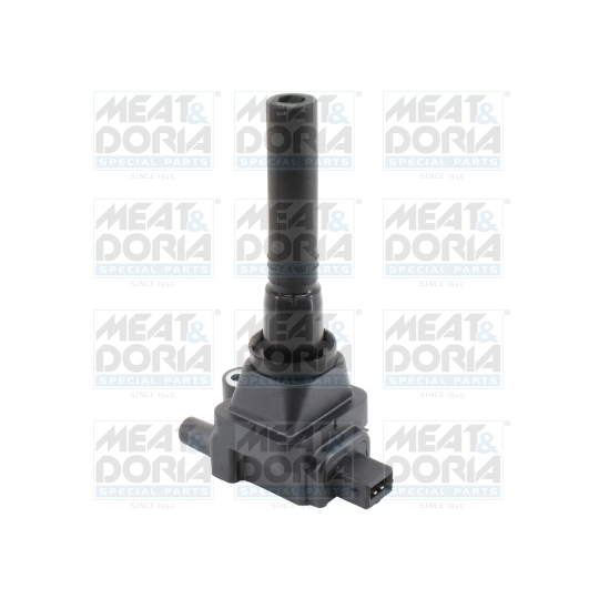 10838 - Ignition coil 