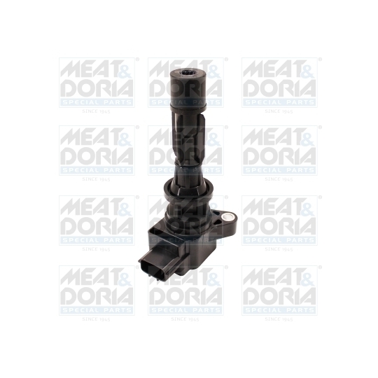 10828 - Ignition coil 