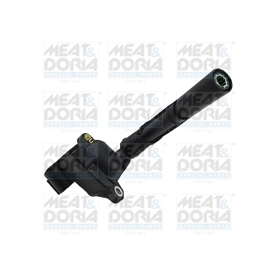 10819 - Ignition coil 