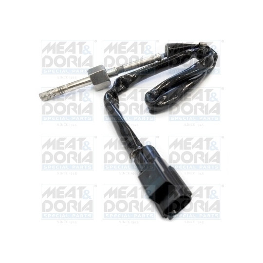 12001 - Sensor, exhaust gas temperature 