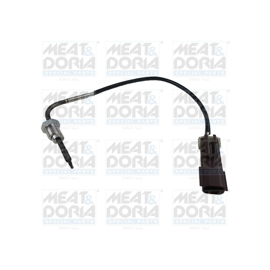 12003 - Sensor, exhaust gas temperature 