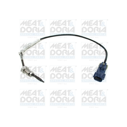 12002E - Sensor, exhaust gas temperature 