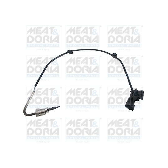 12089E - Sensor, exhaust gas temperature 