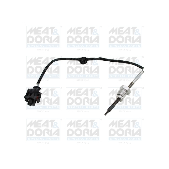 12101 - Sensor, exhaust gas temperature 