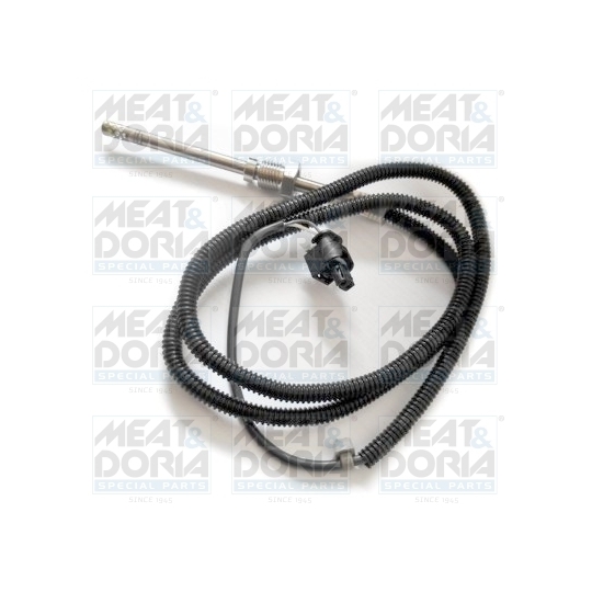 12123 - Sensor, exhaust gas temperature 