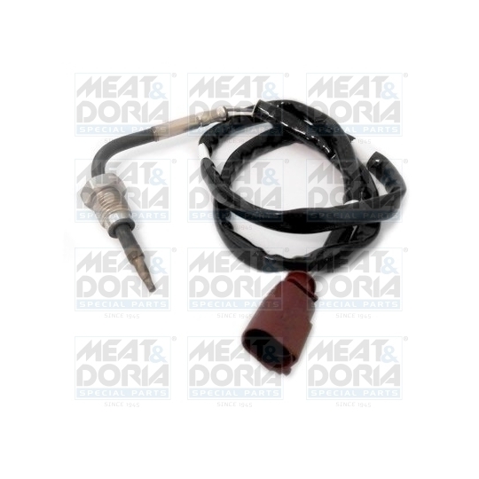 12300 - Sensor, exhaust gas temperature 