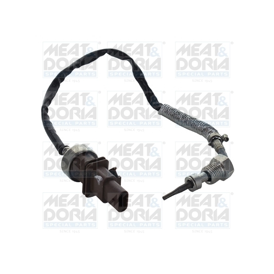 12308 - Sensor, exhaust gas temperature 