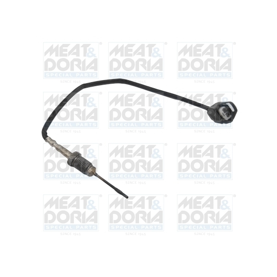 12301 - Sensor, exhaust gas temperature 