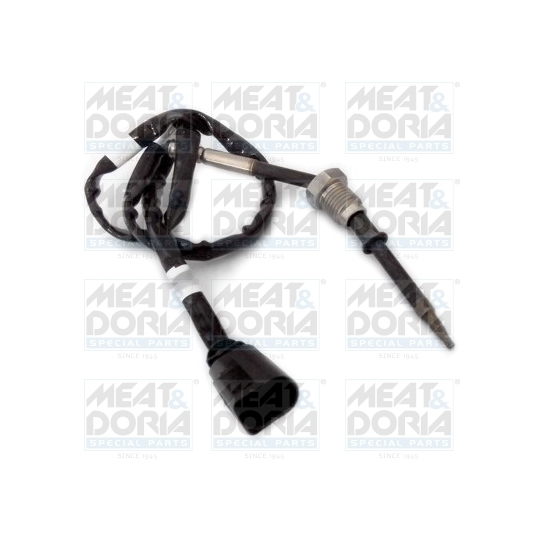 12320 - Sensor, exhaust gas temperature 