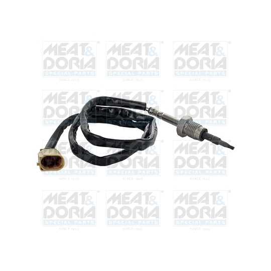 12352 - Sensor, exhaust gas temperature 