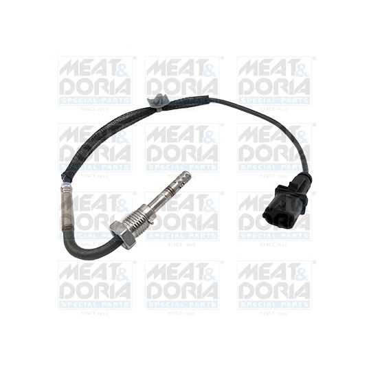 12403 - Sensor, exhaust gas temperature 