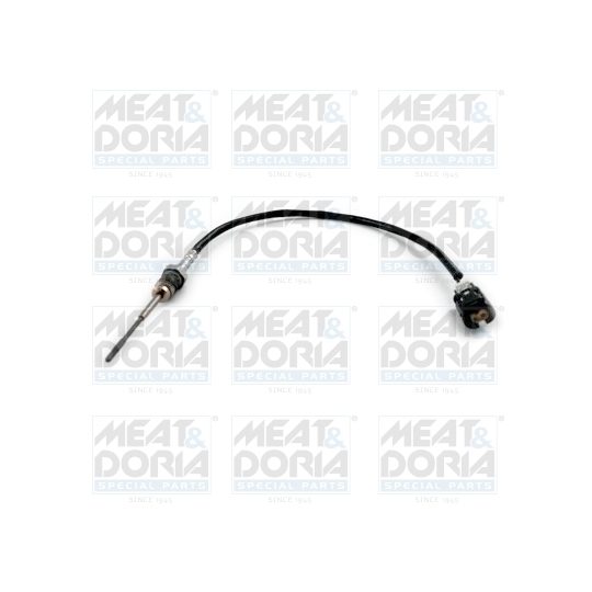 12419 - Sensor, exhaust gas temperature 