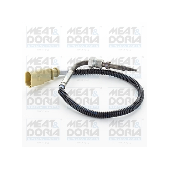 12398 - Sensor, exhaust gas temperature 