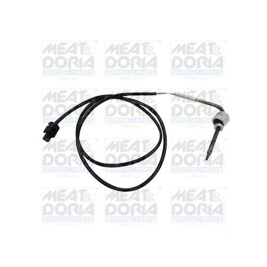 12423 - Sensor, exhaust gas temperature 