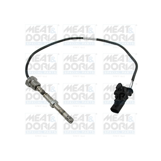 12436 - Sensor, exhaust gas temperature 