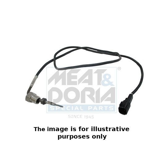 12429E - Sensor, exhaust gas temperature 