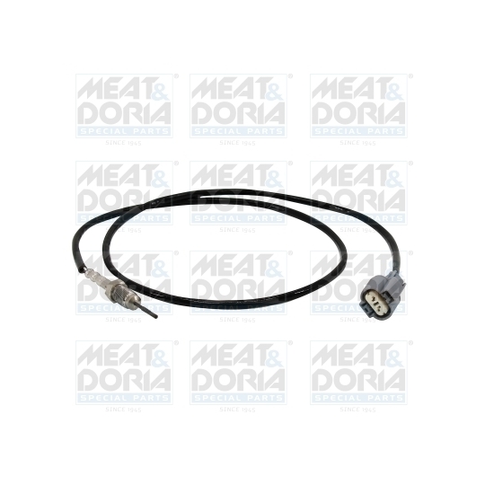 12441 - Sensor, exhaust gas temperature 