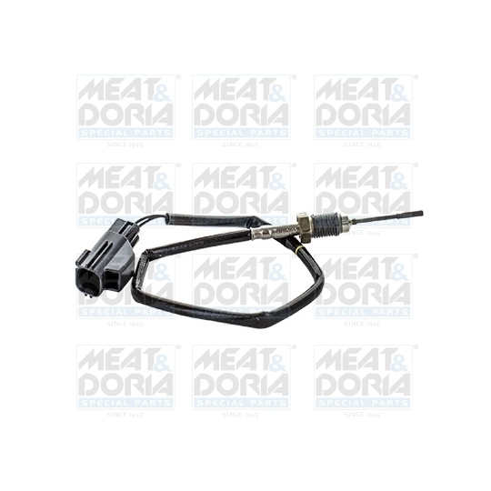 12432 - Sensor, exhaust gas temperature 