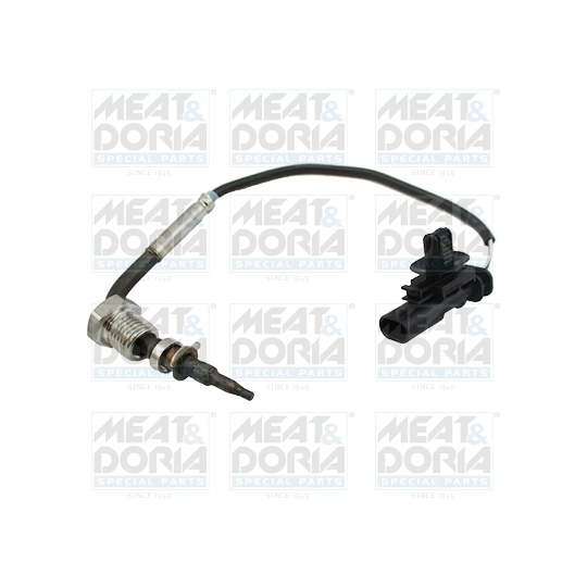 12434 - Sensor, exhaust gas temperature 