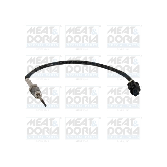 12443 - Sensor, exhaust gas temperature 