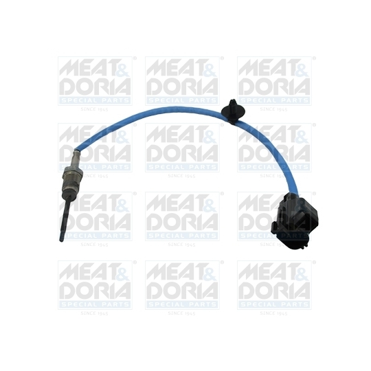 12431 - Sensor, exhaust gas temperature 