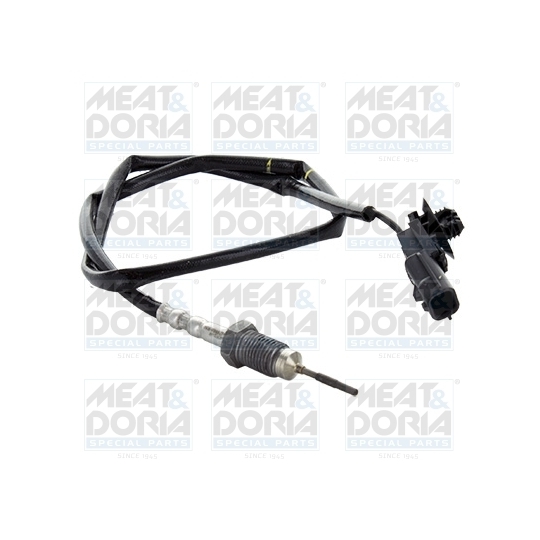 12433 - Sensor, exhaust gas temperature 