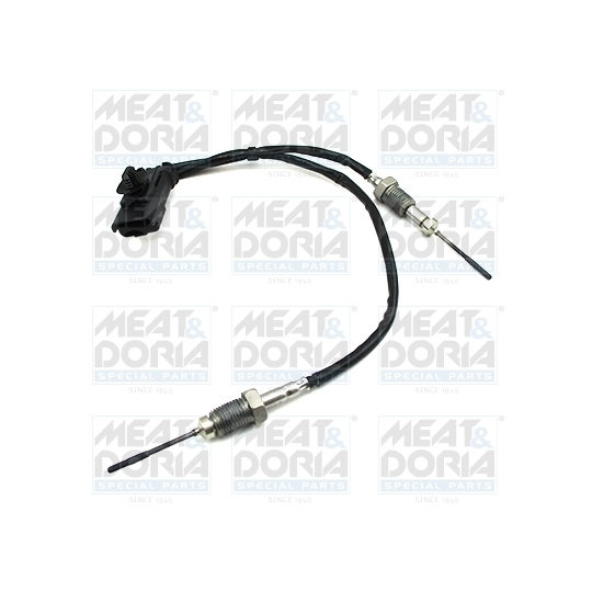 12448 - Sensor, exhaust gas temperature 