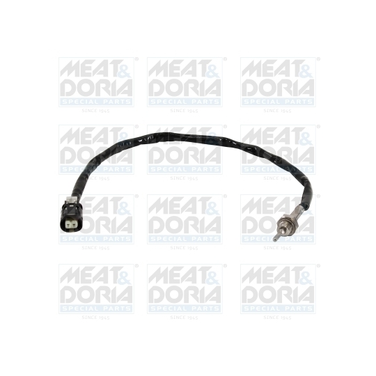 12455 - Sensor, exhaust gas temperature 