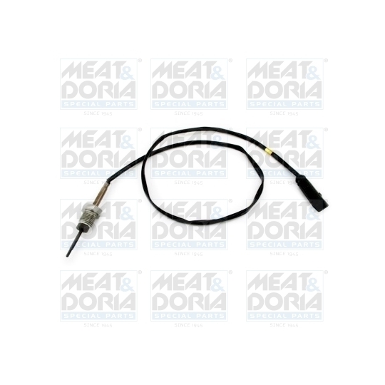 12462 - Sensor, exhaust gas temperature 