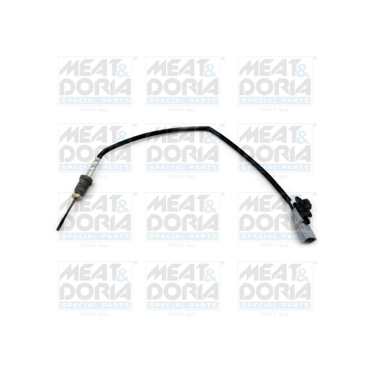 12460 - Sensor, exhaust gas temperature 