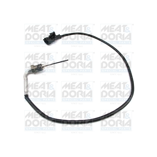 12461 - Sensor, exhaust gas temperature 