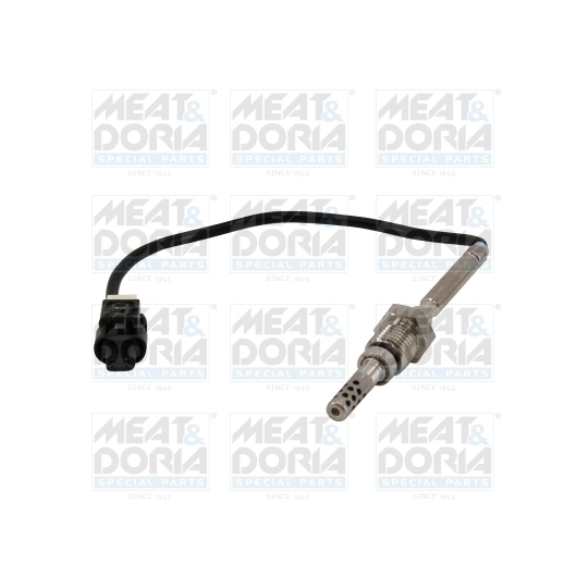 12501 - Sensor, exhaust gas temperature 