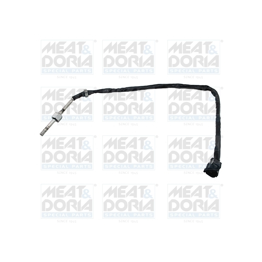 12484 - Sensor, exhaust gas temperature 