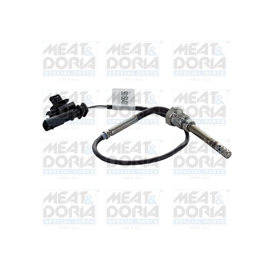 12502 - Sensor, exhaust gas temperature 