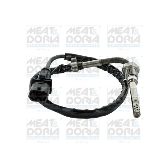 12486 - Sensor, exhaust gas temperature 