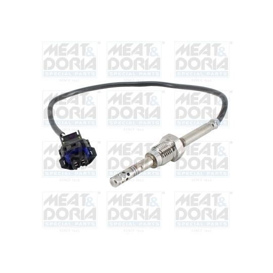 12572 - Sensor, exhaust gas temperature 