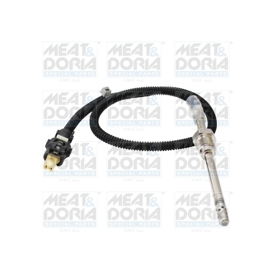 12556 - Sensor, exhaust gas temperature 