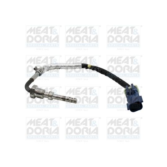 12594 - Sensor, exhaust gas temperature 