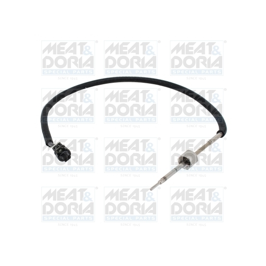 12600 - Sensor, exhaust gas temperature 