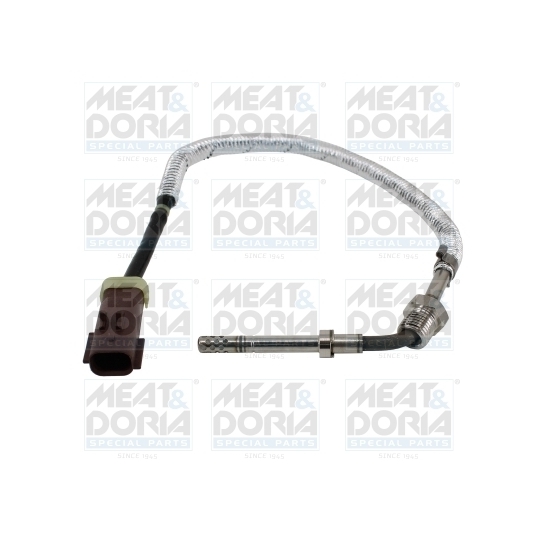 12593 - Sensor, exhaust gas temperature 