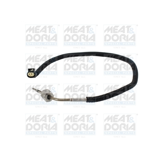 12601 - Sensor, exhaust gas temperature 