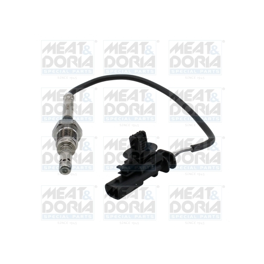 12613 - Sensor, exhaust gas temperature 