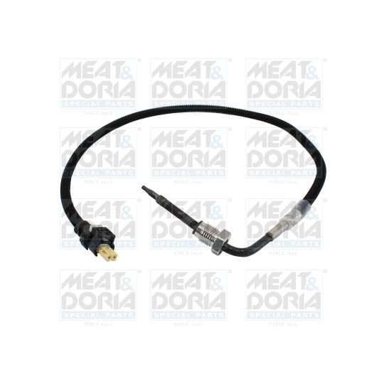 12602 - Sensor, exhaust gas temperature 