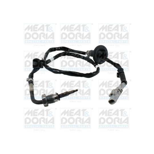 12591 - Sensor, exhaust gas temperature 