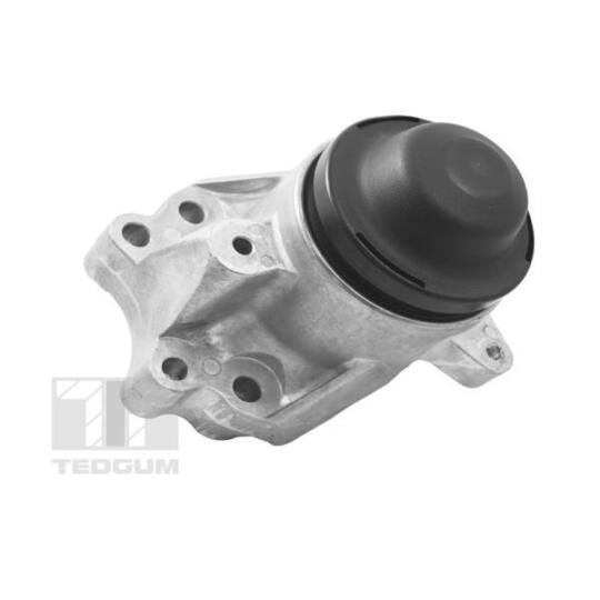 TED17586 - Engine Mounting 