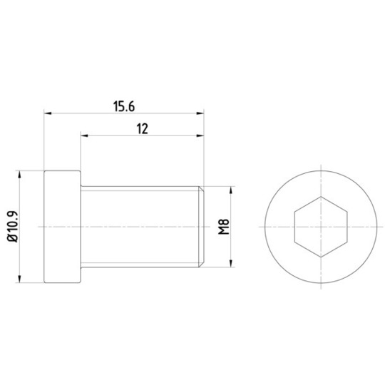 TPM0009 - Brake disk fitting bolt 